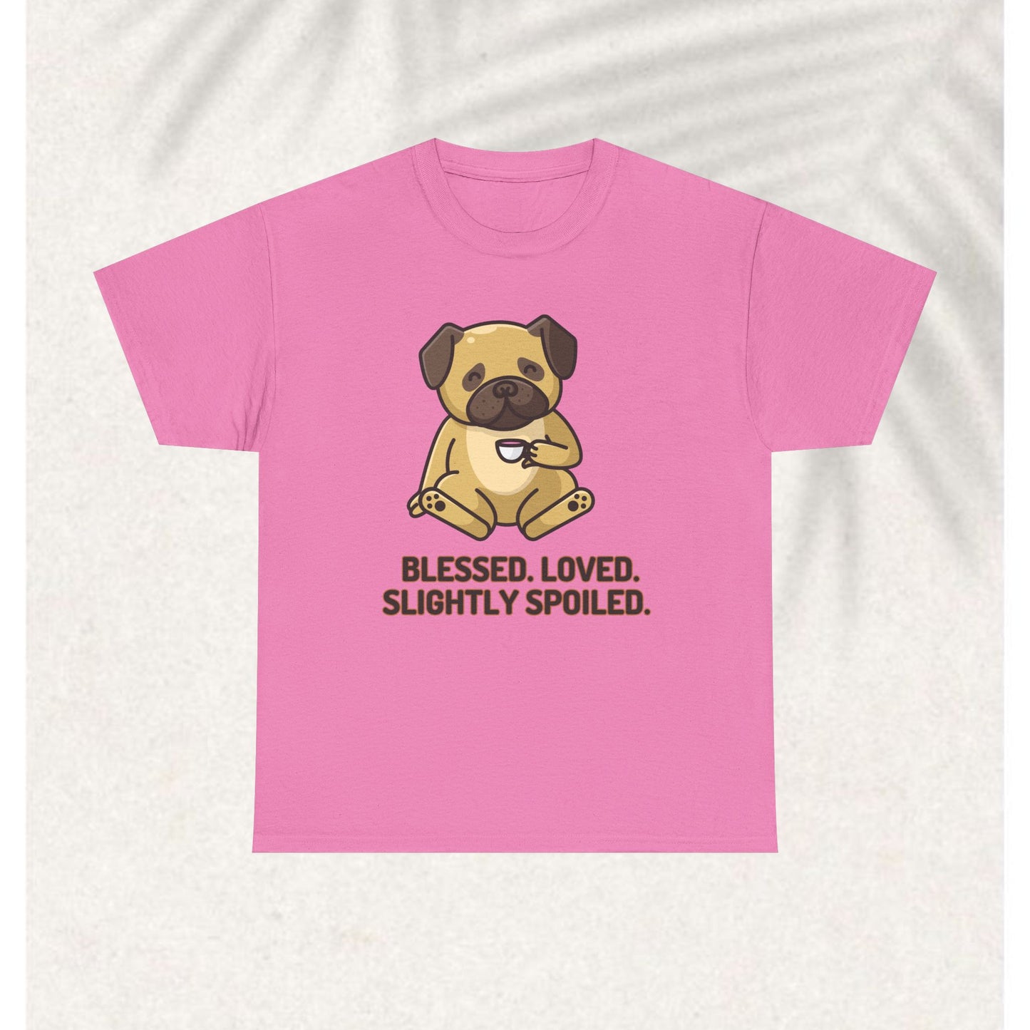 Blessed Loved and spoiled T-shirt