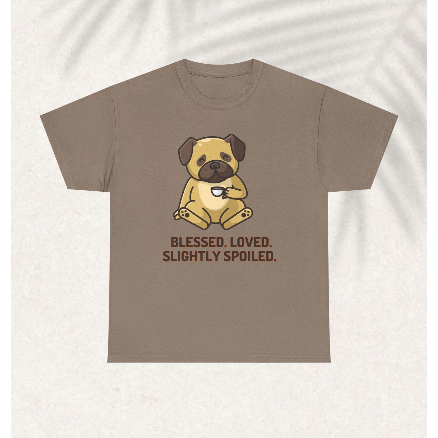 Blessed Loved and spoiled T-shirt