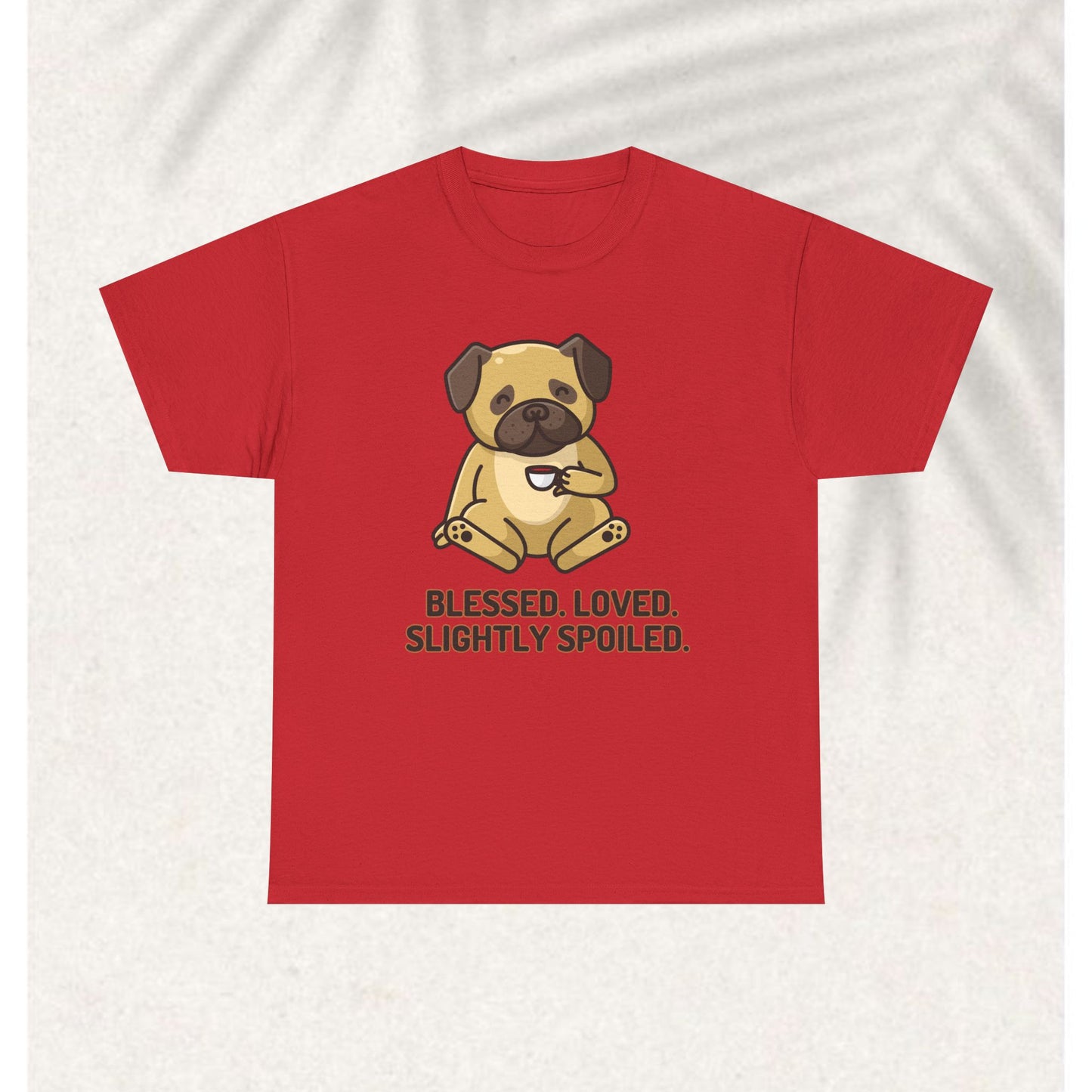 Blessed Loved and spoiled T-shirt