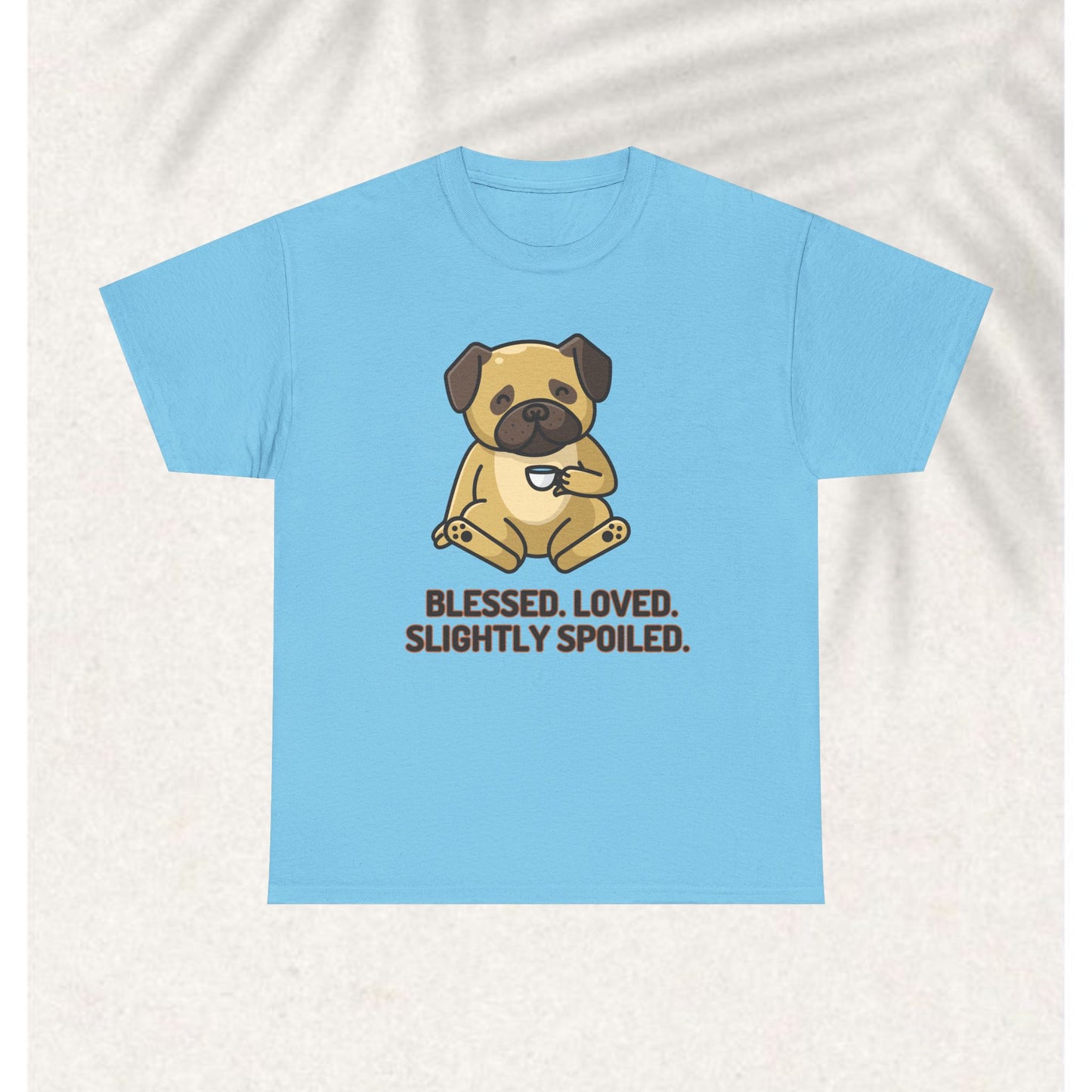 Blessed Loved and spoiled T-shirt