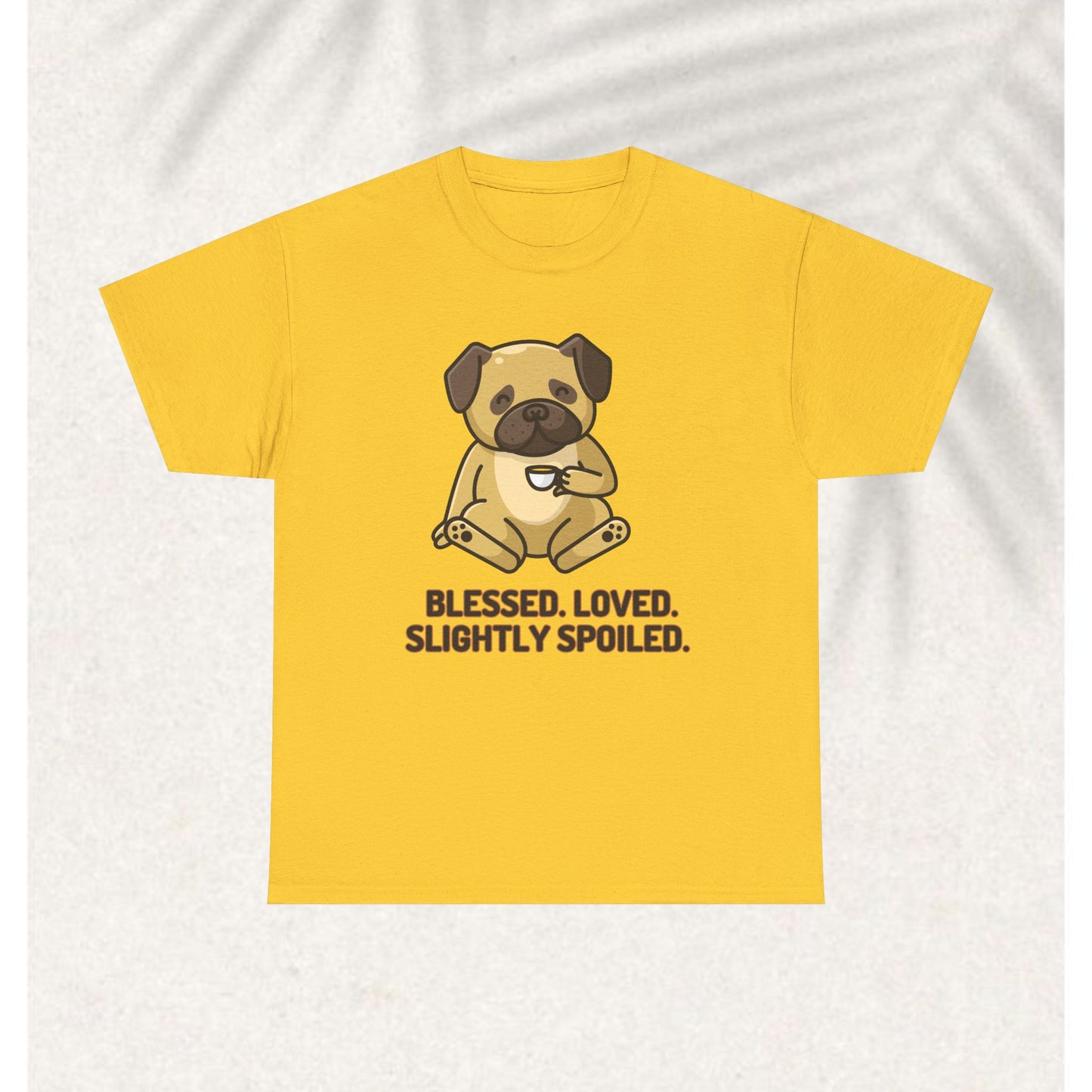 Blessed Loved and spoiled T-shirt