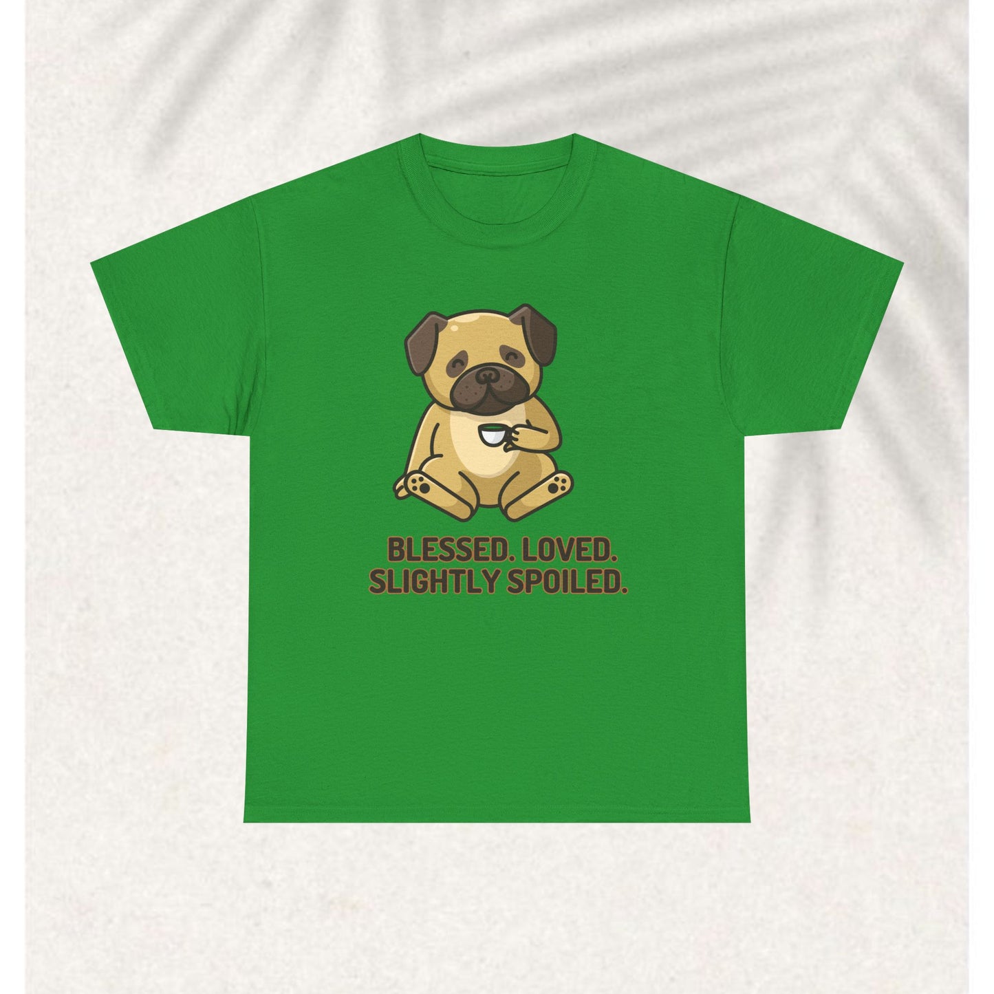 Blessed Loved and spoiled T-shirt