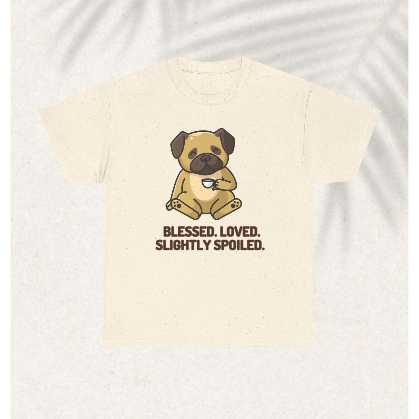 Blessed Loved and spoiled T-shirt